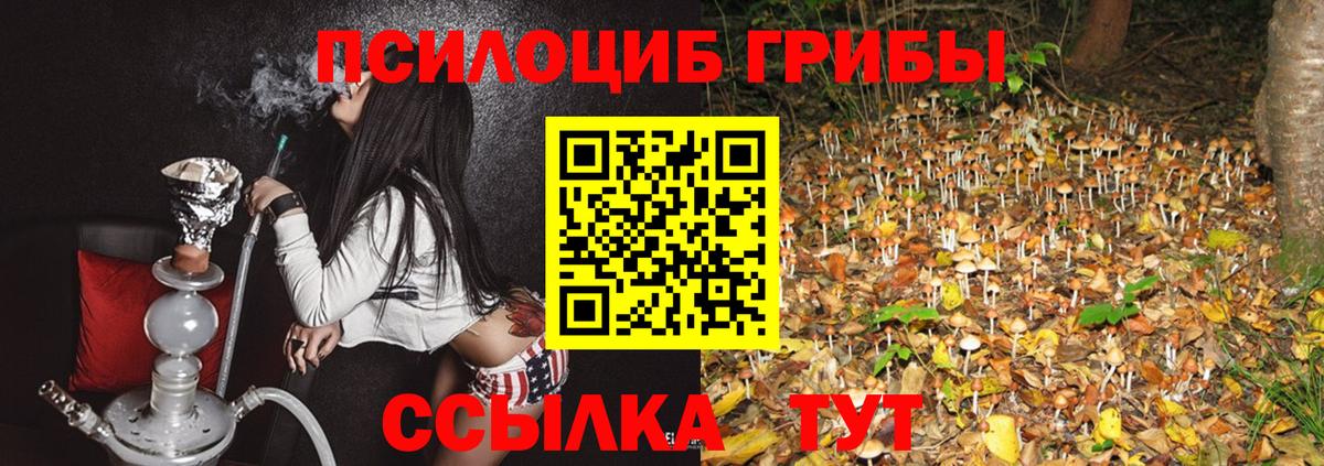 Галлюциногенные грибы Magic Shrooms  Псилоцибиновые грибы мицелий  Вход с VPN  Богородицк 