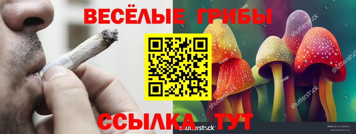 Галлюциногенные грибы мухоморы Богородицк
